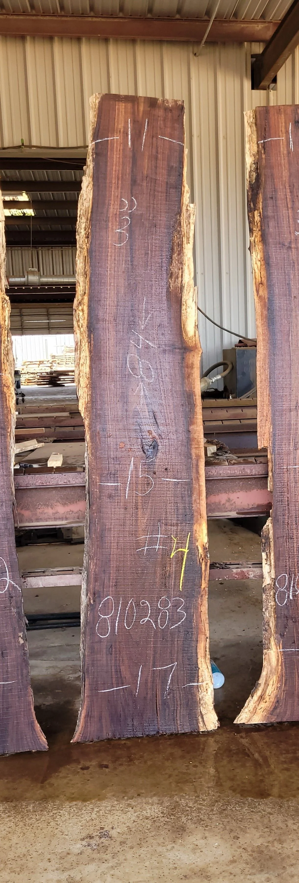 Black Walnut Slabs - Available — harden SAWMILL
